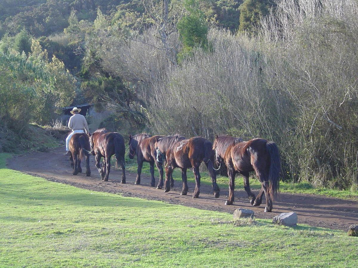 Relais du Volcan La Plaine des Cafres Extérieur photo