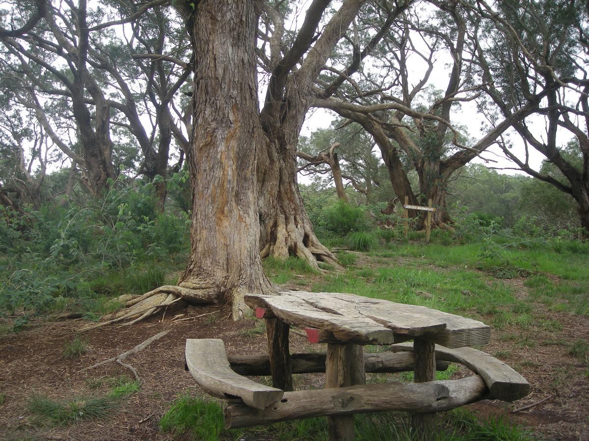 Relais du Volcan La Plaine des Cafres Extérieur photo
