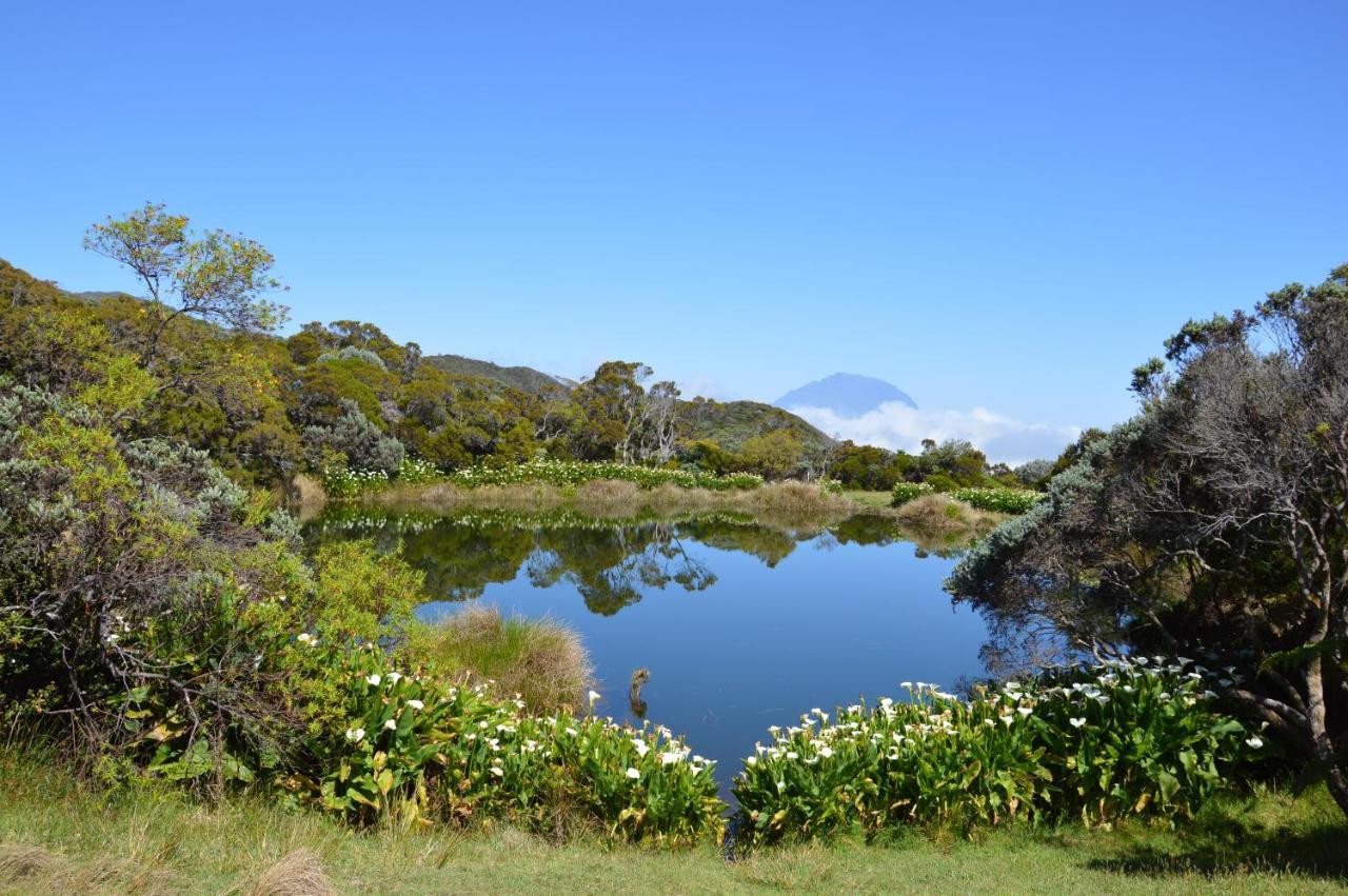 Relais du Volcan La Plaine des Cafres Extérieur photo