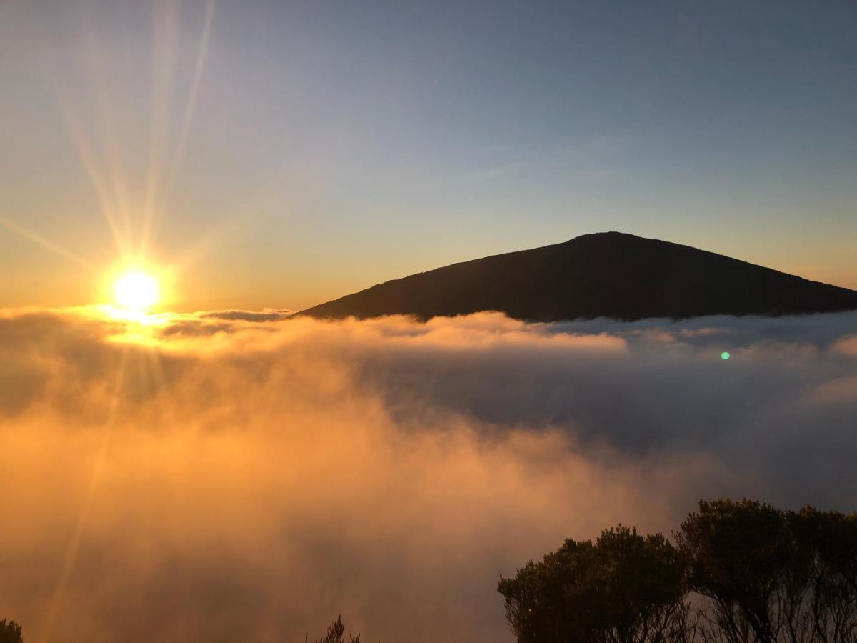 Relais du Volcan La Plaine des Cafres Extérieur photo